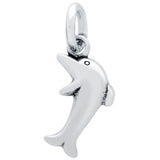 SILVER DOLPHIN CHARM